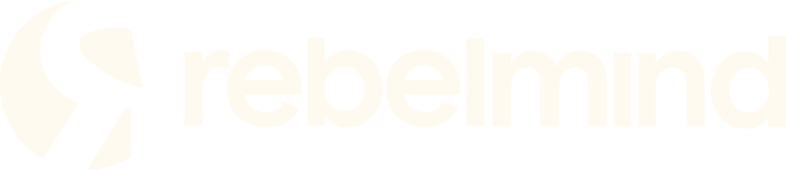 Rebelmind Studio
